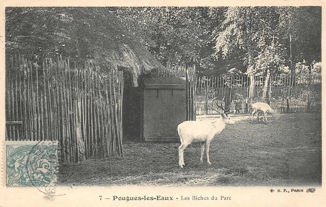 POUGUES-les-EAUX - Les Biches au Parc
