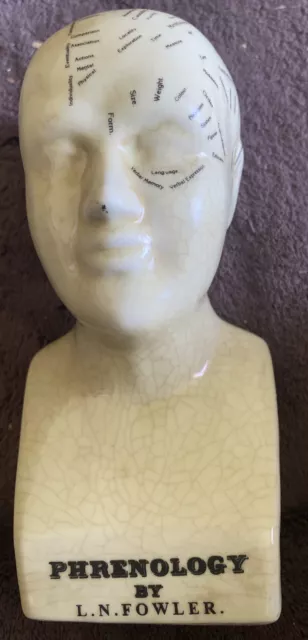 Vintage Phrenology Head L N Fowler, 16cm approx