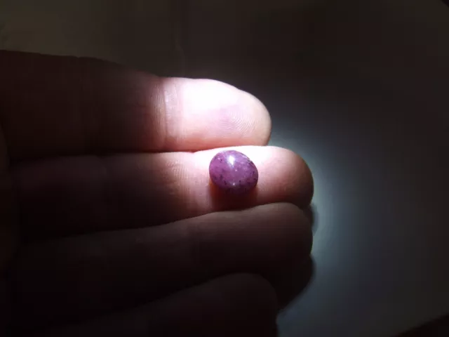 Star ruby...5.6 carat oval