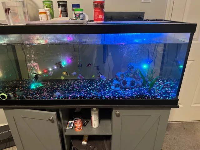 Aqueon standard 75 gallon aquarium fish tank 