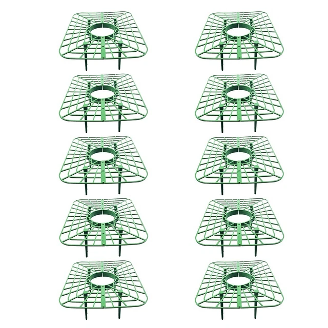 HTN - Supporti Per Impianti Di Fragole Da 4 Pezzi, 30 Cm Fruit Fruit Fruit Fruit Grower Grower Porta Di Fragole 8489237657911