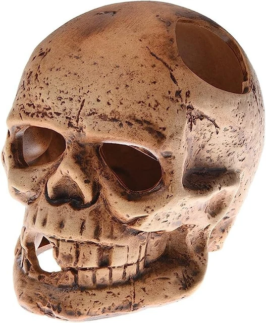 Ceramic Skull Hideaway Rock Cave Aquarium Decoration for Betta Shrimp Cichlid
