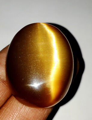 180 Cts Beautiful Natural Honey Color Oval Cabochon Chrysoberyl Cats Eye CT99