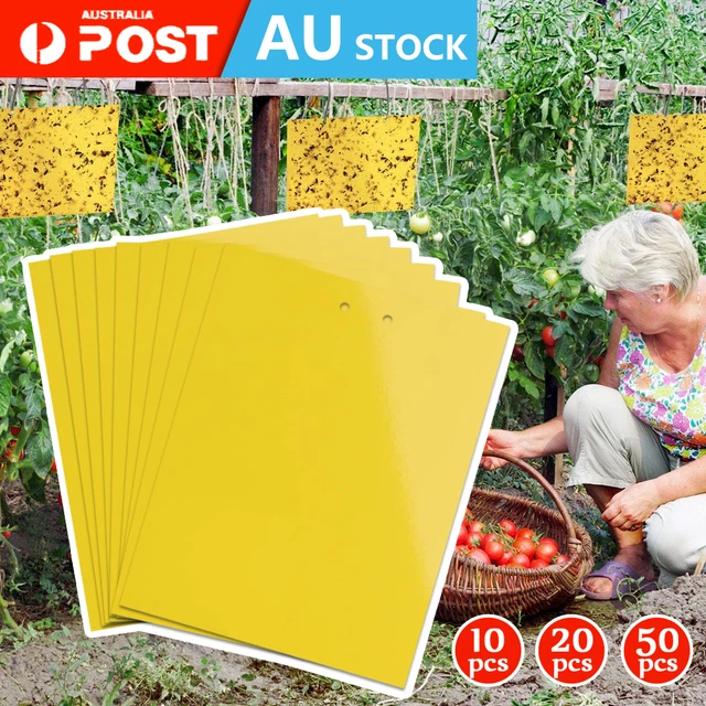 Sticky Insect Paper YELLOW STICKY FLY Traps Plant Catcher Insect Stickys Paper for Garden ...