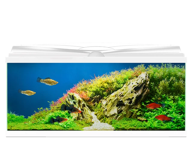 **BRAND NEW** LARGE Fish Tank Aquarium Complete Set-up: Heater, Filter & More 5