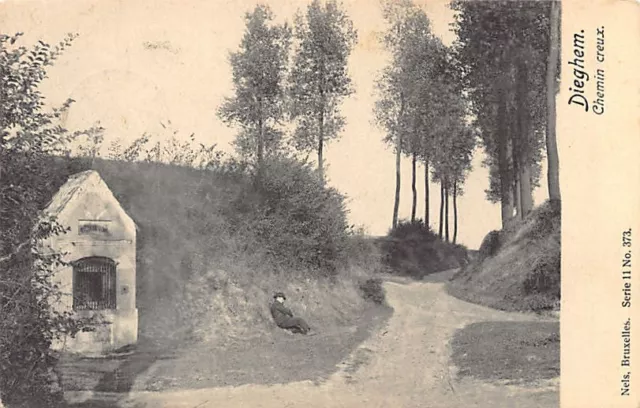 België - DIEGEM (Vl. Br.) Chemin Creux - Uitg. Nels Série 11 N. 373