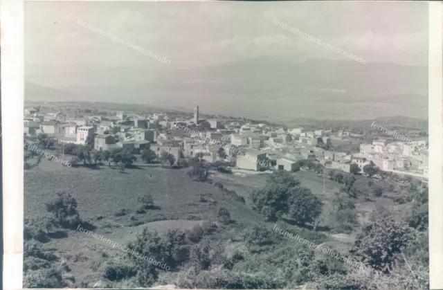 a1040 bozza fotografica benetutti provincia di sassari