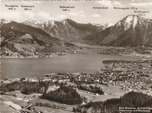 AK 24 , Bad Wiessee , Rottach -Egern , Tegernsee mit Wallberg , gel. 1964