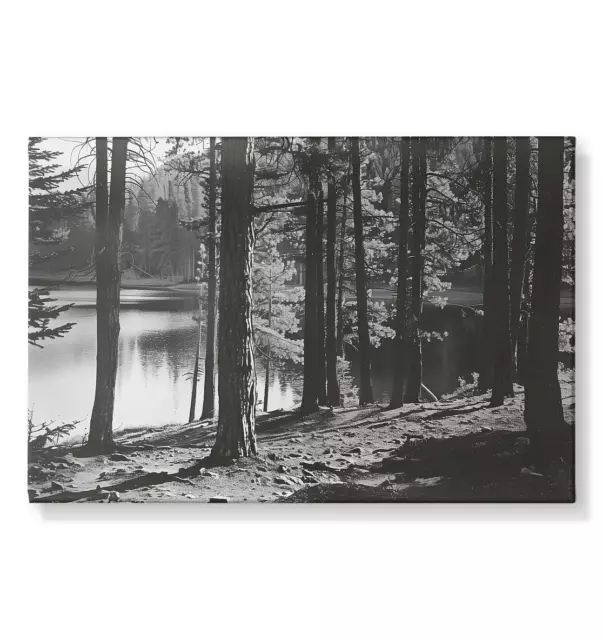 Landschaft * Wald * See * schwarz-weiss - Leinwand 45x30cm