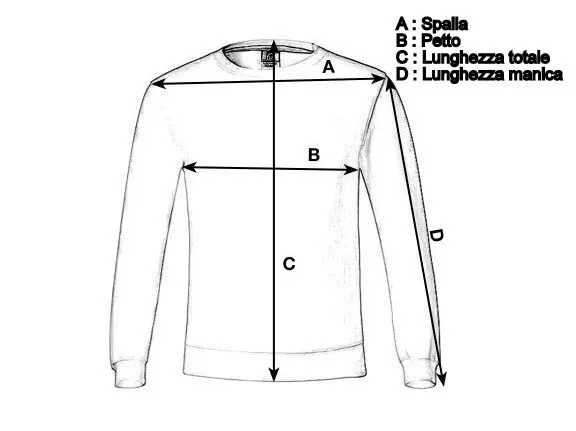 Giubbotto The North Face Taglia L Uomo Giubbino Grigio Jacket Coat Logo Giacca 19