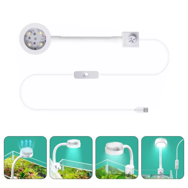 Décor De Plantes Aquarium Lampe Poche Accessoires D'aquarium