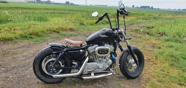 1997 harley davidson clearance sportster 883