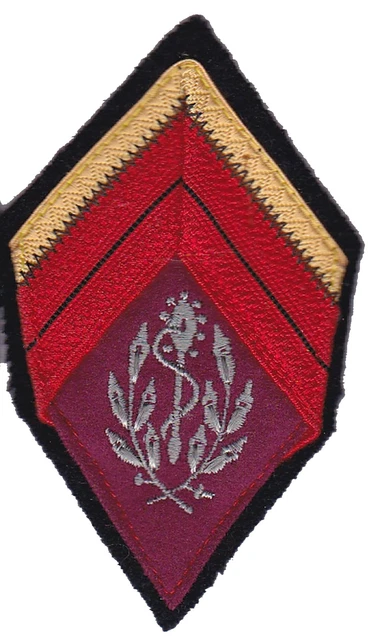 LOSANGE DE BRAS Aspirant médecin du Service de santé des armées SSA LOSANGE DE BRAS Aspirant médecin du Service de santé des armées SSA