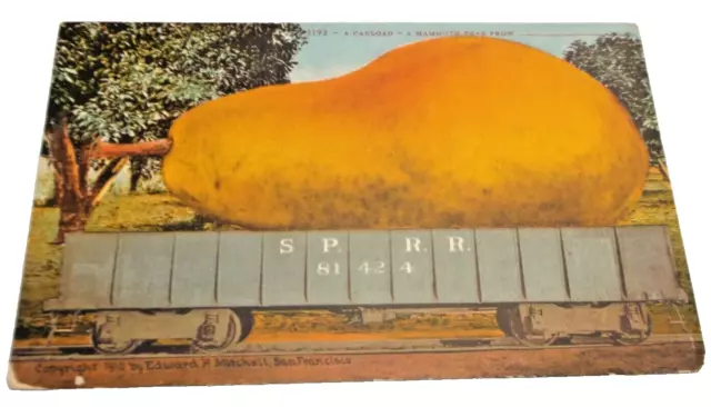 1910 Southern Pacific Railroad California Pears Unused Post Card