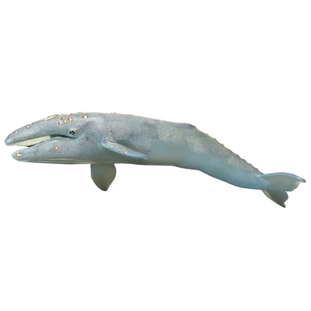 Gray Whale Monterey Bay Sea Life Figure Safari Ltd Toys Educational Ocean Kids