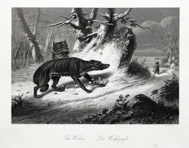 Der Wolfspaß. Originaler Stahlstich von Payne um 1850