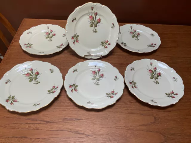 Rosenthal Germany Pompadour *Moss Rose* ( Lot Of 6 ) Dinner  Plates 10”