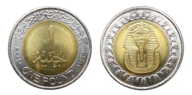 Egypt 1 Pound Highly Collectible!