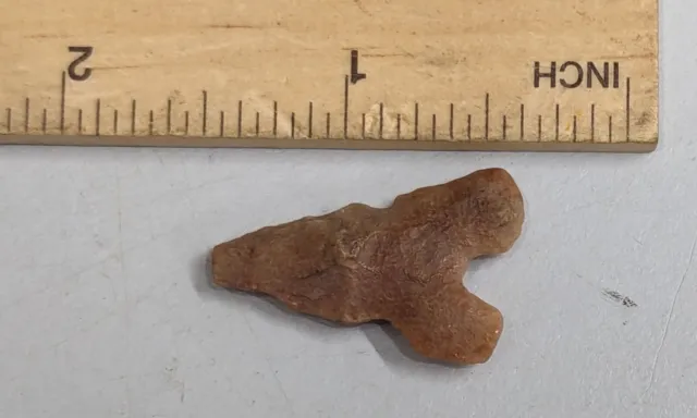 Stone age NEOLITHIC Arrowhead thousands of years old From Africa (#F5511)