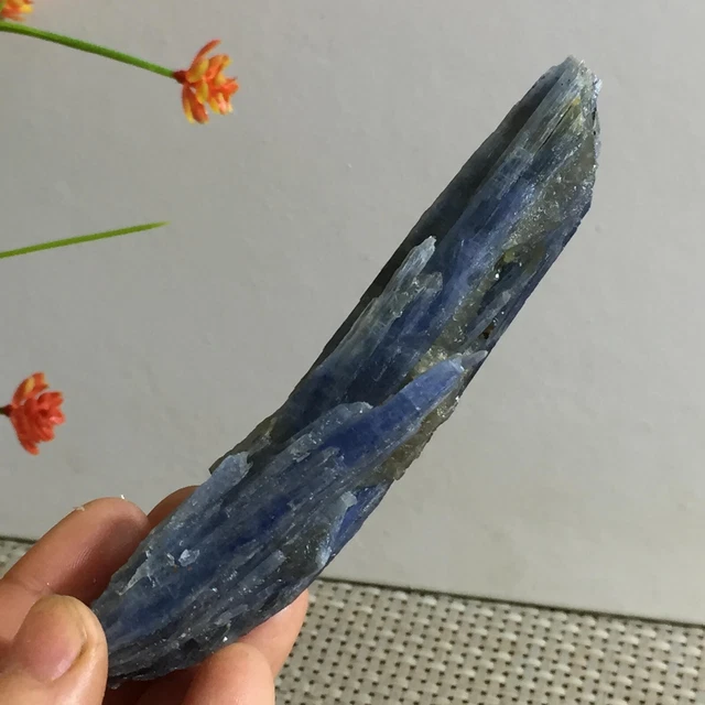 Rare Blue Crystal Natural Kyanite Rough Gem stone Specimen Healing 94g b598