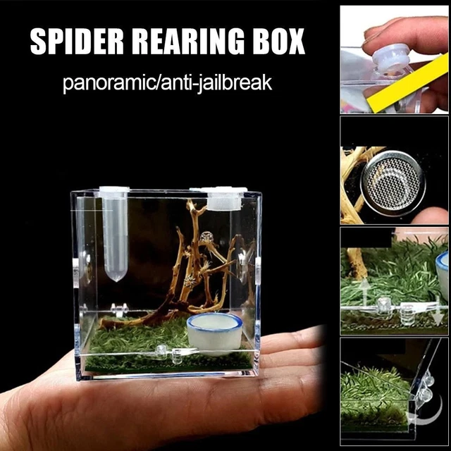 Humidifier Jumping Spider Breeding Box Breeding Cage Insect Box Spider habitat