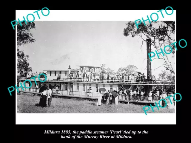 OLD LARGE HISTORIC PHOTO OF MILDURA VICTORIA THE PADDLE STEAMER PEARL c1885