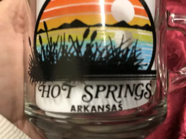 Vintage Hot Springs Arkansas souvenir glass cup Mug Travel Memorabilia Natural