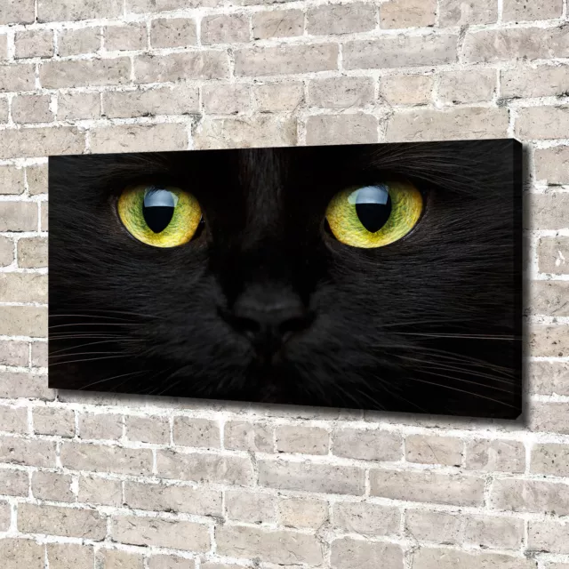 Arte de La Pared Pintura en Lienzo Decoración de Salón 140x70 Ojos de gato