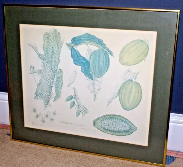 Framed limited edition print "Theobroma Cacao" signed by Angela Culme Seymour