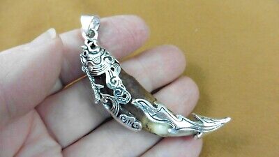 AK-TOOTH-93) 2-1/2" Fossil 1000 yrs old Wolf tooth silver filigree flame pendant