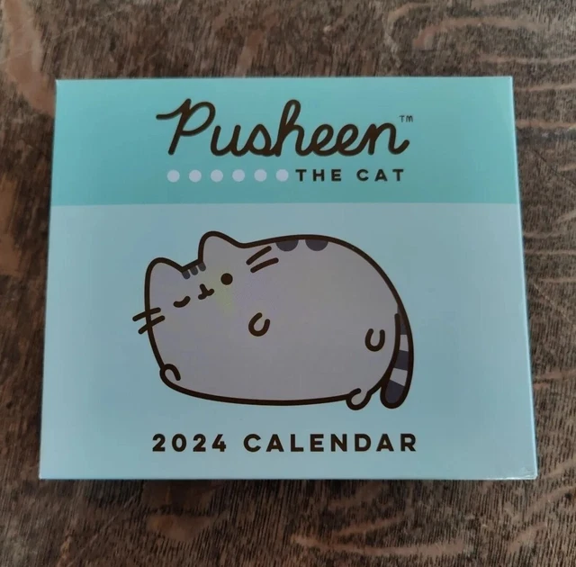 PUSHEEN THE CAT 2024 DayToDay Calendar MIB 7.50 PicClick