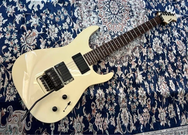 フェルナンデス FR-75 ジャンク 部品取り フェルナンデス FR-75 ジャンク 部品取り