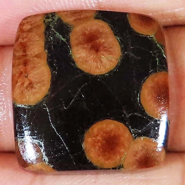 (22x23x05 MM) 30.55 Cts. Natürlich Erdnuss Obsidian Kissen Form Lose Edelstein