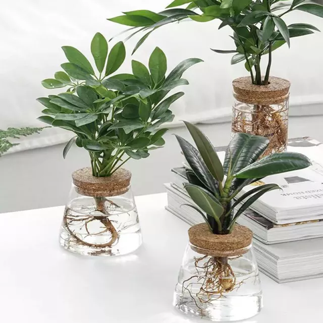 Transparent Hydroponic Flower Pot Imitation Glass Soilless Flower Pot Home Vase