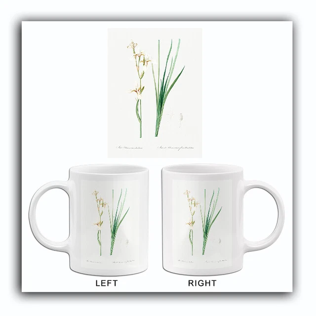 Siberian Iris - 1805 - Les Liliacees - Pierre Redoute - Illustration Mug