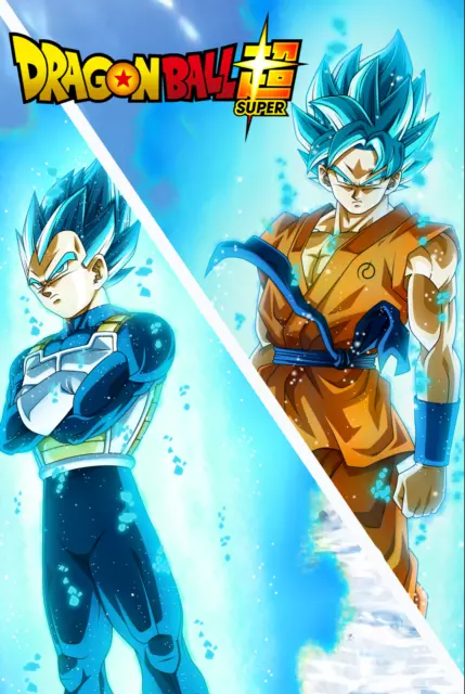 Dragon Ball GT and Super Gogeta SSJ4 and Blue Poster 12inx18in Free Shipping