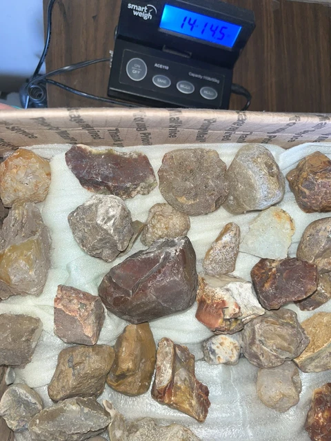 Oregon Idaho Plume Agate Raw Tumbles Chunks Wood Carnelian Opal over 14lbs