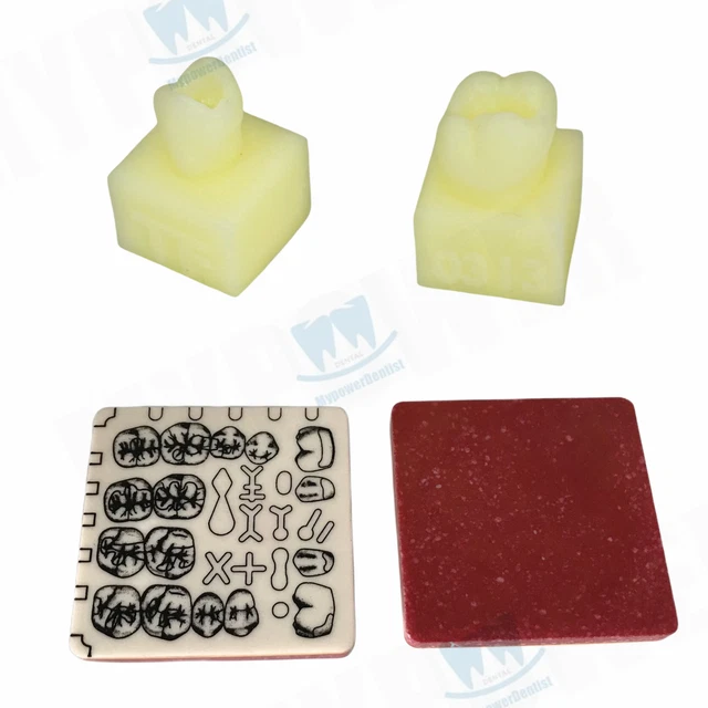 Dental Composite Resin Filling Model/Cavity Preparation Hole Dentin Model