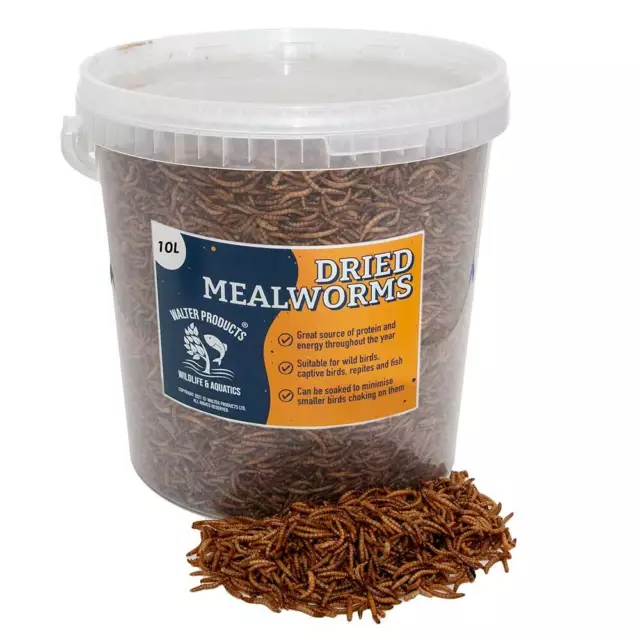 Walters Dried Mealworms | Wild Bird Food | EasyTubs & Bags | Premium Nutrition