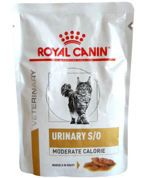 Royal Canin Urinary S/O Nourriture diététique pour chats Saveur poulet 48 x  100 g : : Animalerie