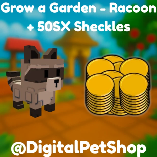 🔥RACOON + 50SX Sheckles 🔥GROW A GARDEN - CHEAPEST!⚡💸 £10.99 - PicClick UK