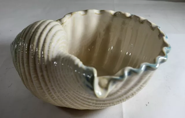 Shoreline Collection Medium Sized Ceramic Nautilus Shell Bowl Hand Painted Cream