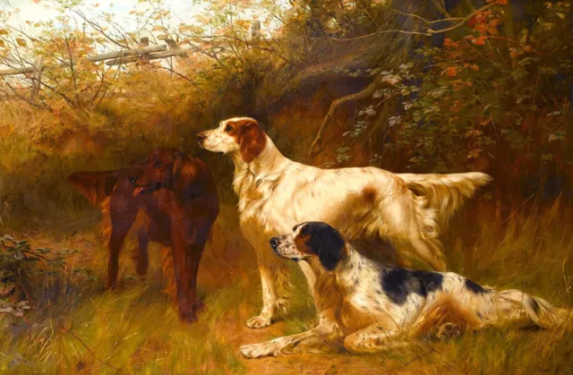 Wall art Three hounds Oil painting Hd Giclee Printed on canvas L2048