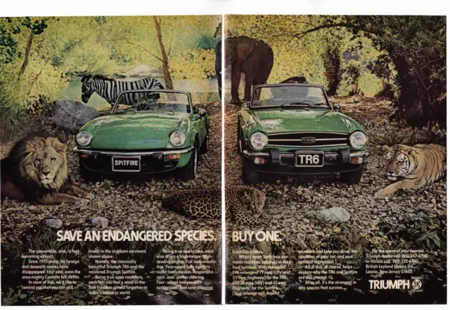 1976 Triumph TR6 Green Spitfire Vintage Print Ad "Endangered Species" 1970s