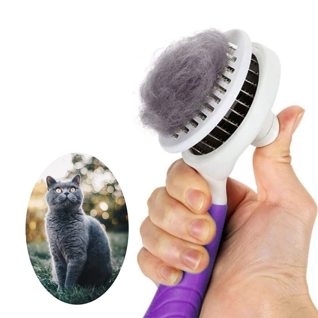 Cats Pet Grooming Brush Tool