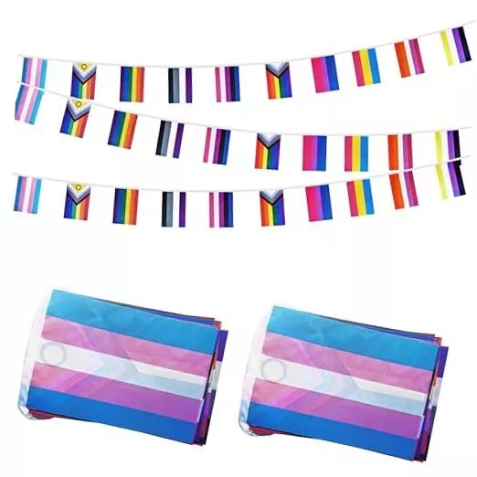 Rainbow Progress Flag Banner, 10 Types Rainbow Pride Small Mini String 2 Pack