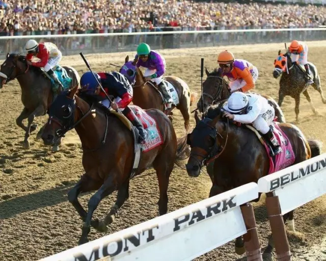 CALIFORNIA CHROME - TONALIST 2014 Belmont Stakes Horse Racing 8 x 10 Photo Race