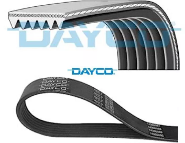 DAYCO 6PK2460 Keilrippenriemen Keilriemen