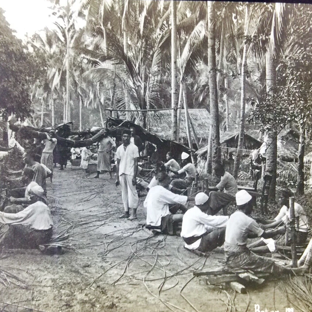 Job Lot Antique Magic Lantern Slides,Colonial Era Tropical Plantation Old Photos 3