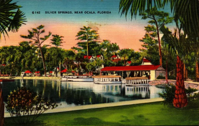 Postcard Silver Springs Near Ocala Florida  Linen Unused